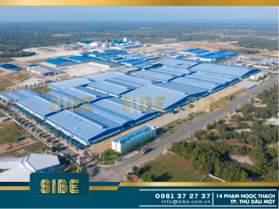 Tôn lợp nhựa 4 lớp PVC/ASA có gì khác biệt