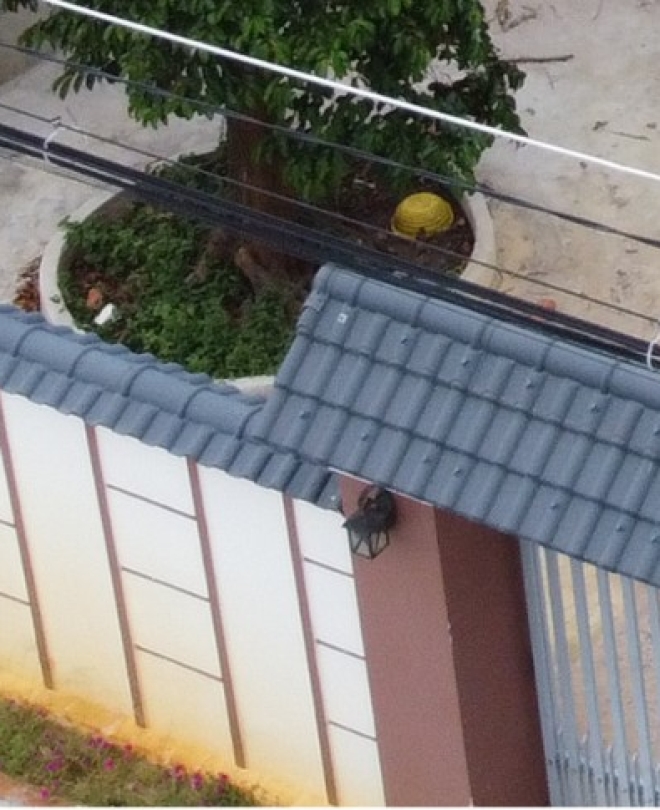 DỰ ÁN DÂN DỤNG 